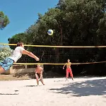 Campsite Montana Parc - Golfe De St Tropez - Maeva 4*